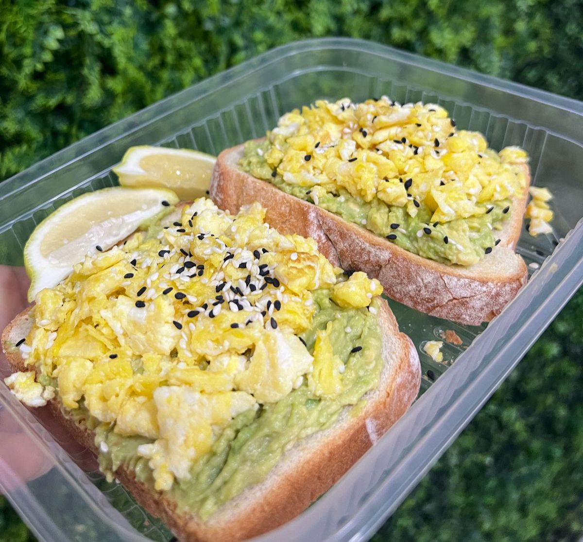 Avocado huevo y palta